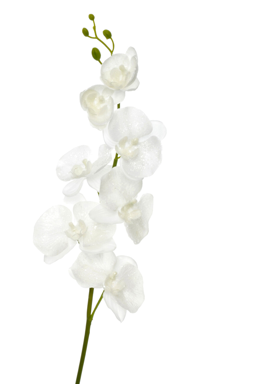 ORCHIDEE POLYESTER BLANC