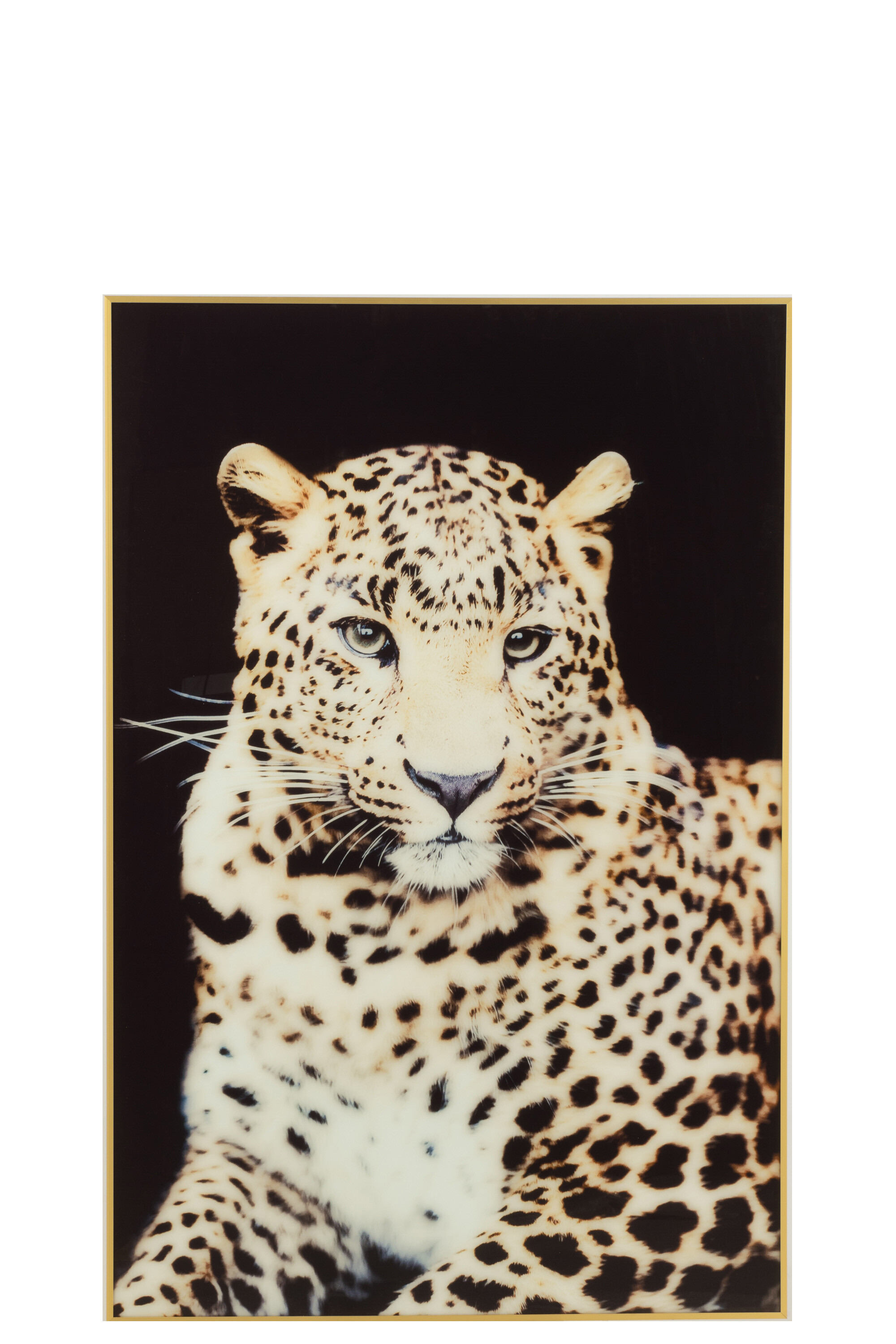 Tablou, Leopard