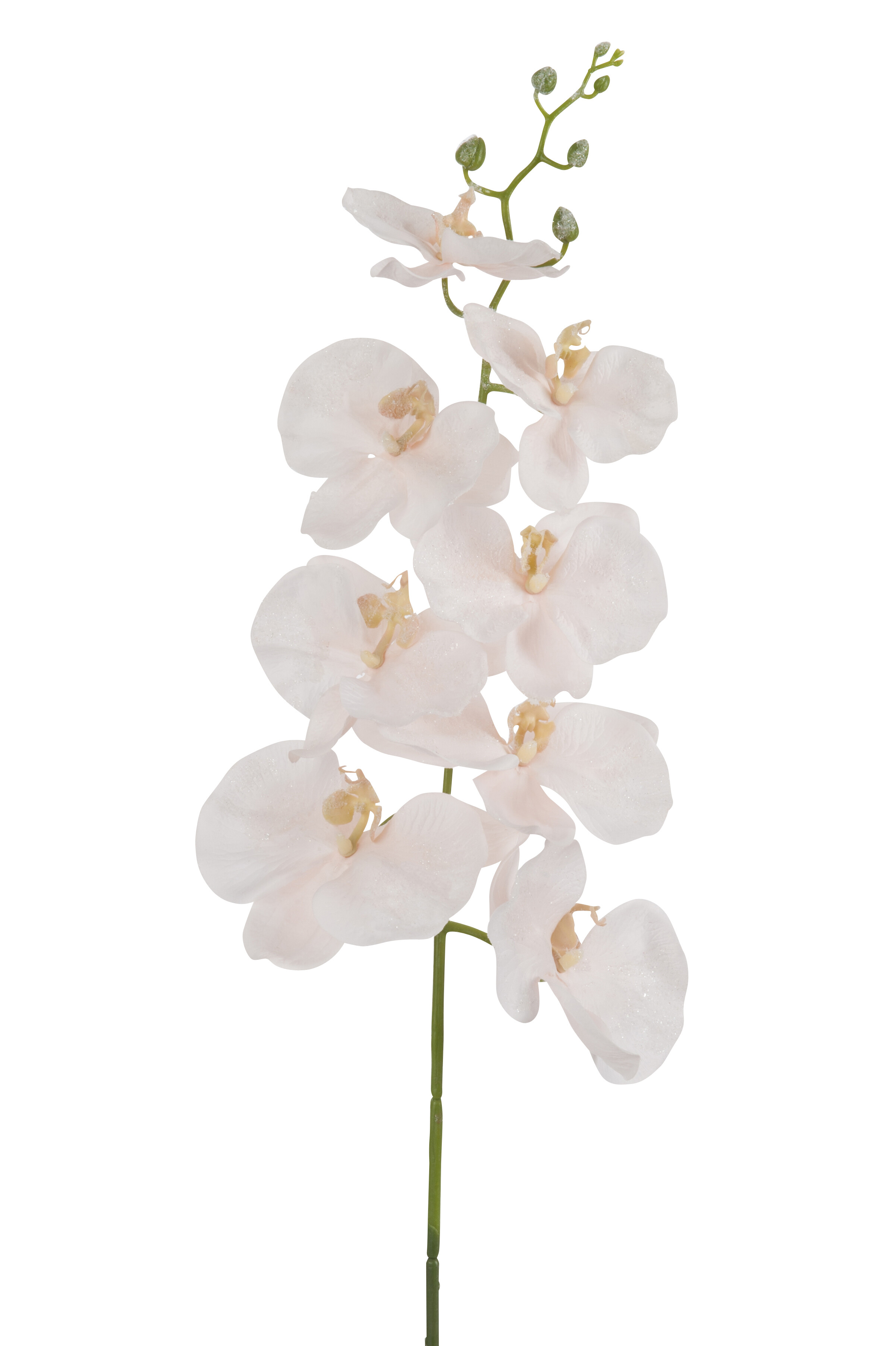 J-Line Orchidee | Kunststof | Fuchsia | 22x10x (h)84 Cm