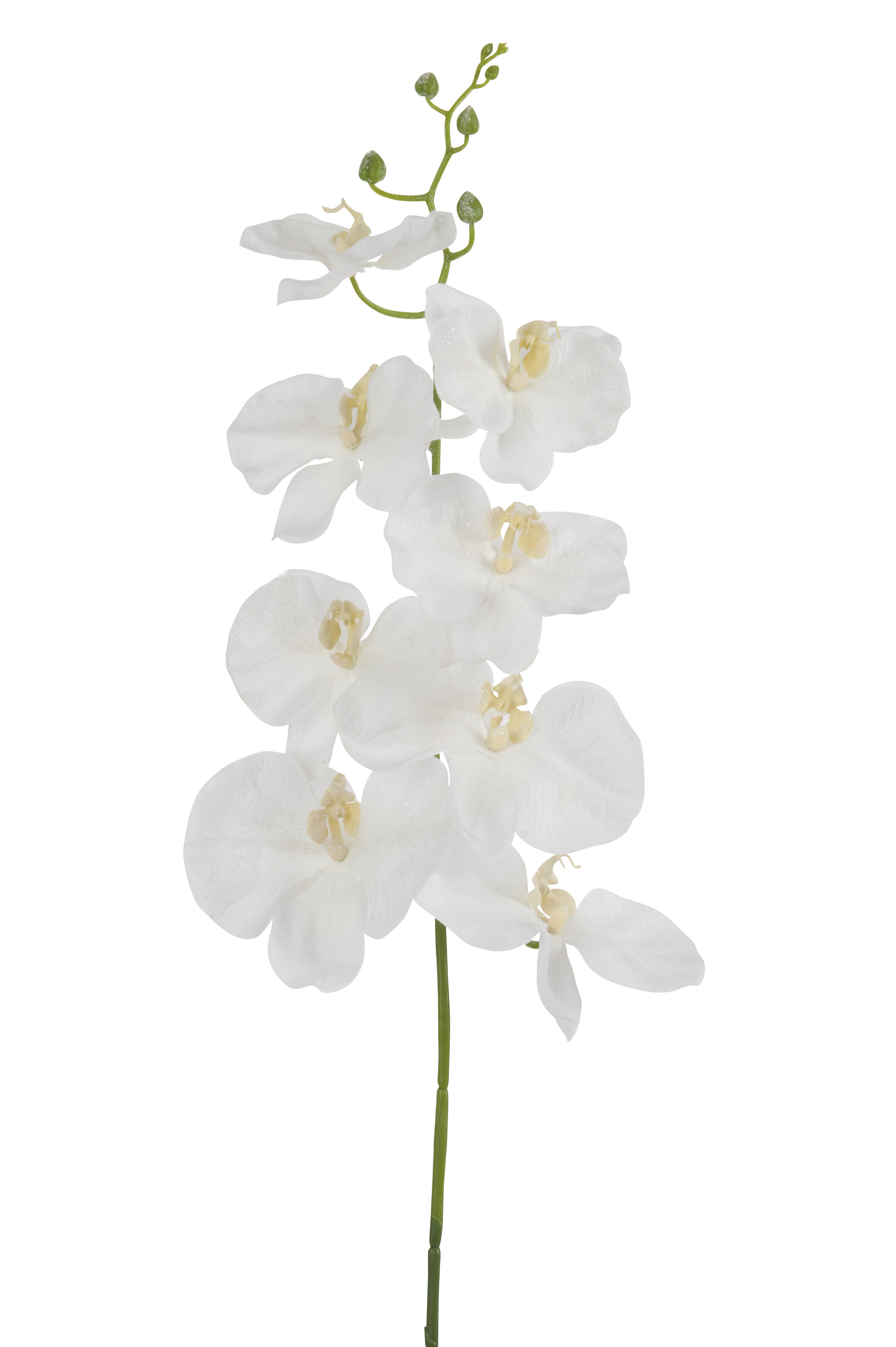J-Line Orchidee | Kunststof | Wit | 22x10x (h)84 Cm