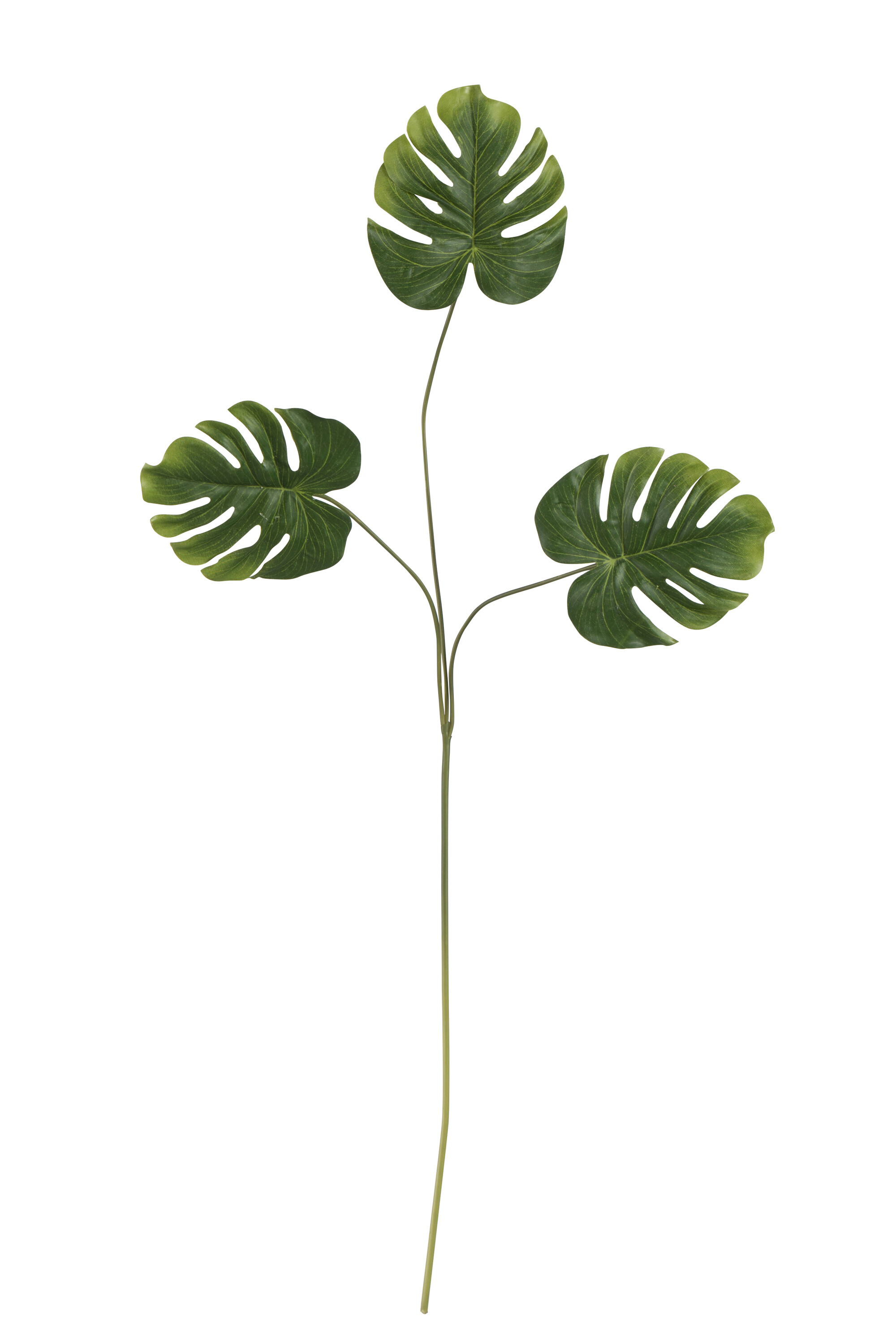 FEUILLE PHILODENDRON 3P PLA VE